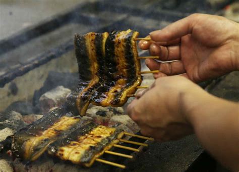 Japan's love of eel puts fish's future at risk - Nikkei Asia