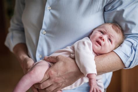 Fotografie Martina Siebenhandl Babyfotos Familienfotos Stilvoll Und