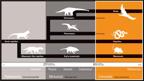 Dinosaur Walk - Melbourne Museum