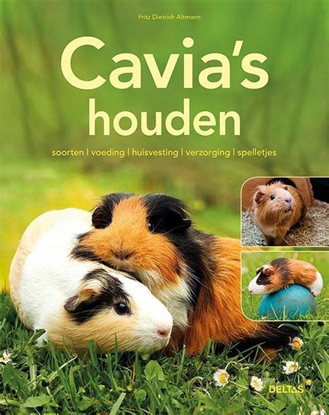 De Top 7 Van De Beste Boeken Over Cavia´s 2025