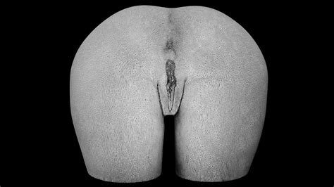 Scan Vagina 007 Model TurboSquid 2129574