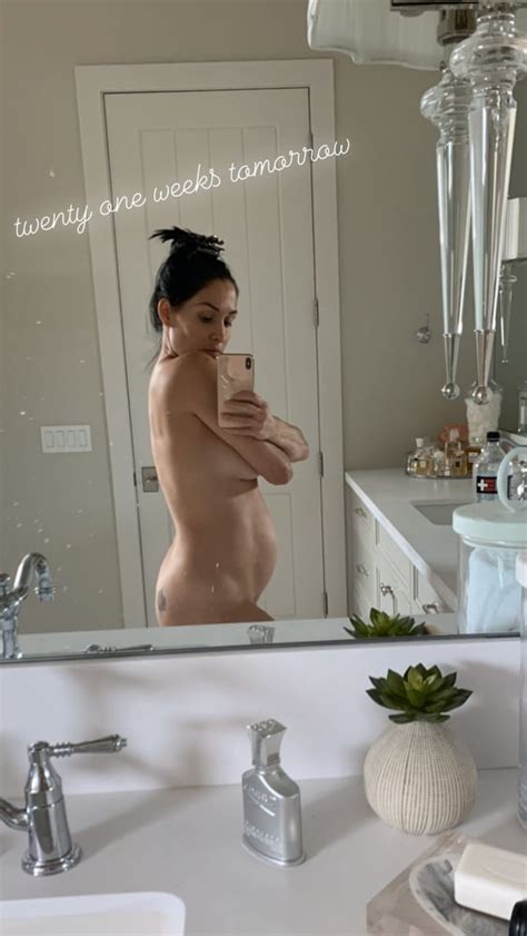 Pregnant Bella Twins 2020 Porn Pictures Xxx Photos Sex Images 3860924 Pictoa