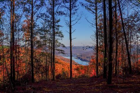 Water Views Of The Tn River Gorge River Gorge Ranch