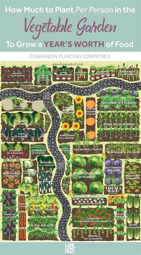 How Much To Plant Per Person In The Vegetable Garden Live Love Fruit