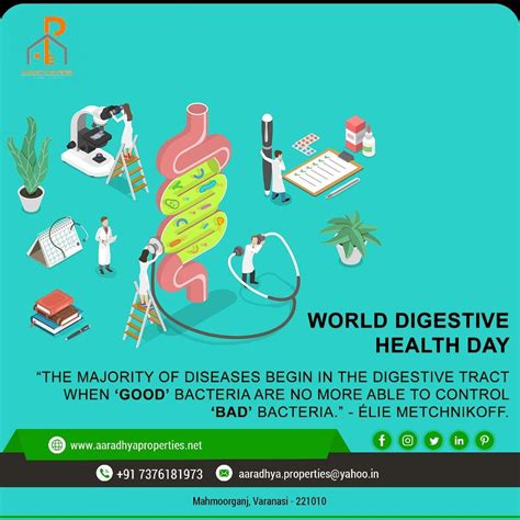 World Digestive Helth Day Health Day Digestive Health Digestion