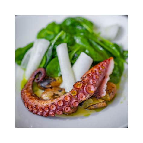 Buy Cooked Octopus Leg / 熟冻章鱼脚 250g Supplier & Wholesale Online Malaysia - Best Seafood ...