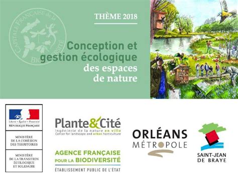 Pdf Plante Cit Innover Avec Et Pour Les Prosinnovation V G Tale