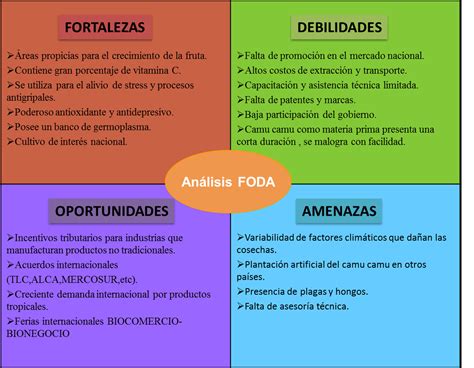 Matriz Dofa Matriz Dofa Debilidades Oportunidades Fortalezas Hot Sex Picture