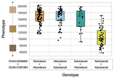 Relationships Between Phenotypic Values And Genotypes Of The Two