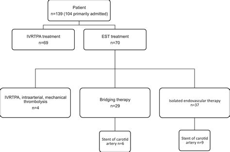 Modern Interdisciplinary And Interhospital Acute Stroke TherapyWhat