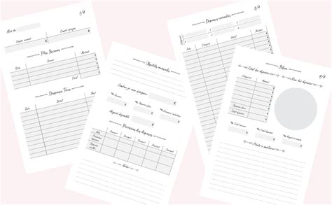 Kakeibo Carnet De Compte Agenda Compl Ter Pour Tenir Son Budget Mois