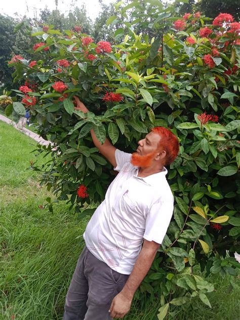 rejaul vai pabna