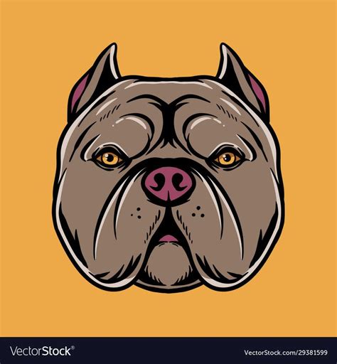 Pitbull Head Vector