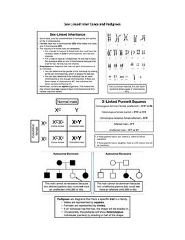 Sex Linked Traits Punnett Square And Pedigree Teaching Resources Tpt