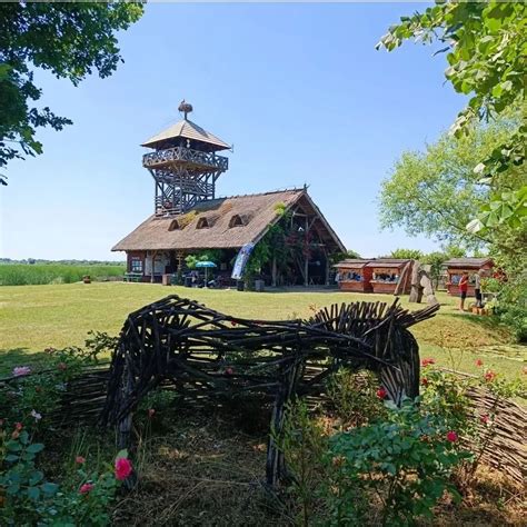 Zasavica - Specijalni Rezervat Prirode / Special Nature Reserve - Home