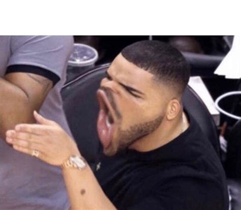 Drake Blank Template Imgflip