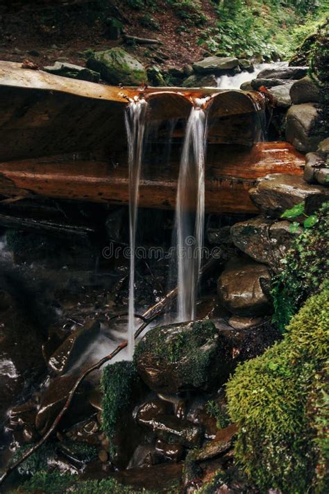 Cachoeira Bonita Na Represa De Madeira Em Madeiras Ensolaradas Gotas Da