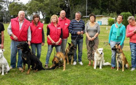 Loisirs Reprise Des Cours D Ducation Canine Le T L Gramme