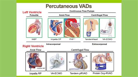 Percutaneous Ventricular Assist Device