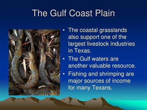 Ppt The Gulf Coastal Plain Region Powerpoint Presentation Free Download Id3037064