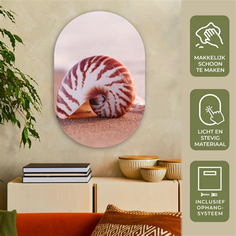 Wall Oval D Coration Murale Plastique Tableau Ovale Coquillage