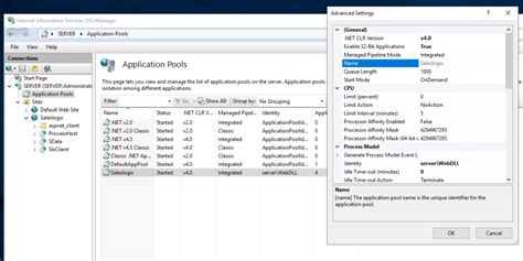 Iis Configuration For Infor Crm Slx Customer Fx