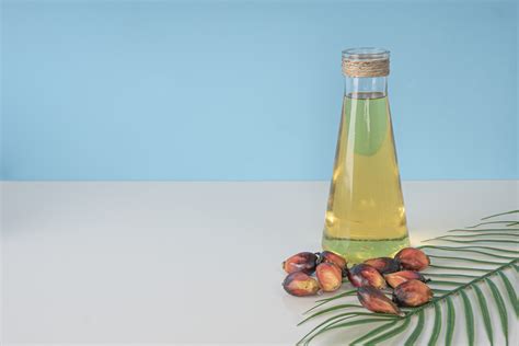 Why Palm Oil Has a Bad Name & How Sustainability is the Answer