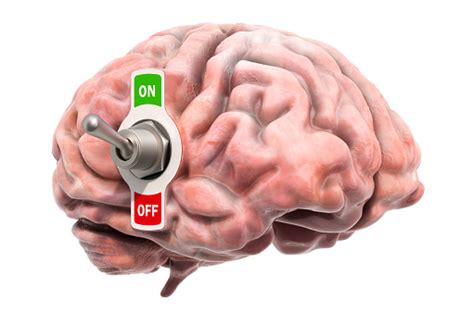 Brain With Toggle Switch On 3d Rendering Isolated On White Background