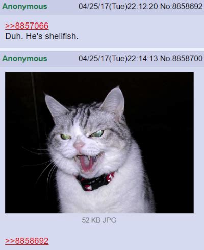 Midnight Naked Muse Tumblr Tumbex