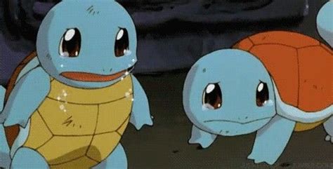 Pin on Squirtle | Pokemon funny, Pokemon, Anime japan