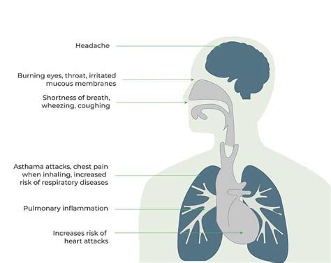 Ozone Monitoring Know About Atmospheric Ozone Oizom