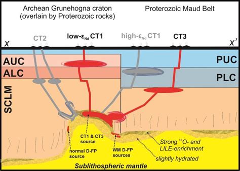 A Schematic Cross Section Across Line Segment X X Fig During