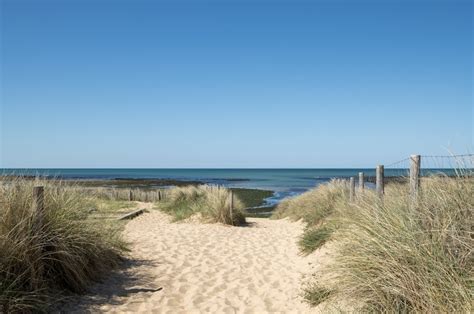 Coquillages sable galets bois flotté On ne peut pas tout ramasser