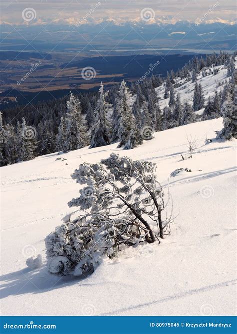 Winter in polish mountains stock photo. Image of tatra - 80975046