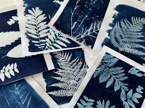 Tout Savoir Sur La Technique Du Cyanotype Latelier Géant