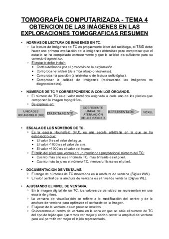 TEMA 4 RESUMEN Pdf