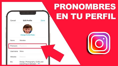 COMO PONER PRONOMBRES EN INSTAGRAM YouTube