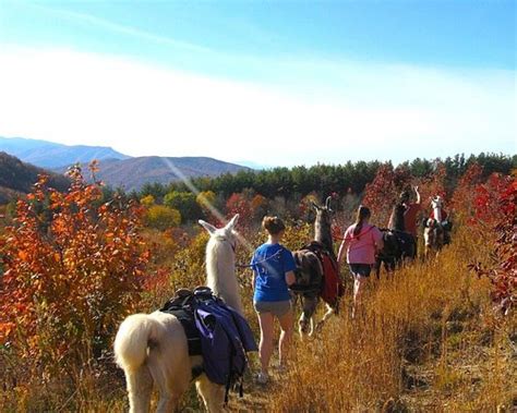 The 15 Best Things To Do In Greeneville Updated 2022 Must See