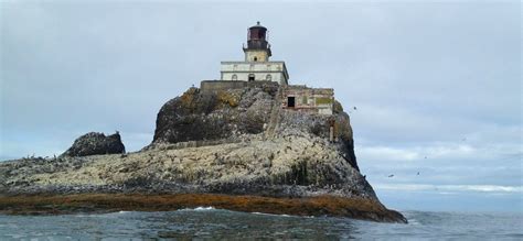 Seaside Or Find The Best Of Oregons North Coast