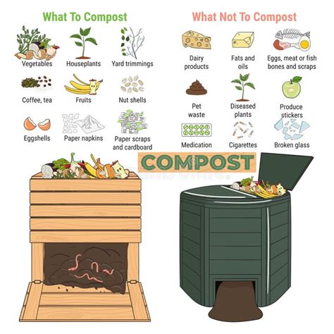 Infographic Of Garden Composting Bin With Scraps What To Compost Green And Brawn Ratio For