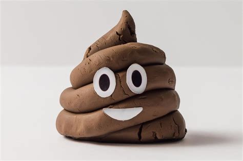 Everything you touch is covered in poop