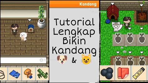 Cara Dan Bahan Bikin Kandang Kucing Kandang Anjing Citampi Stories