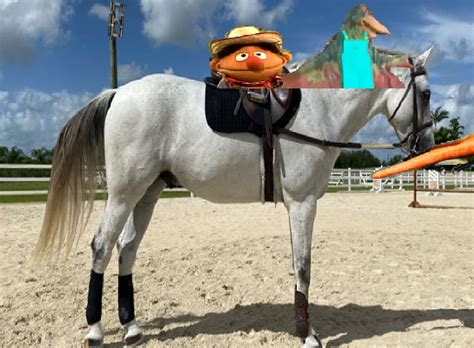 Fletcher Bird And Ernie Riding A Horse Muppet Wiki Stuff Fan Art