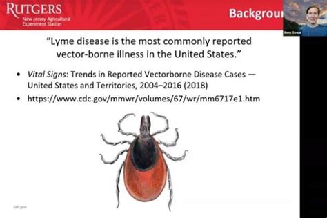 Protect Yourself From Ticks And Lyme Disease Webinar Rutgers Cooperative Extension Of Mercer