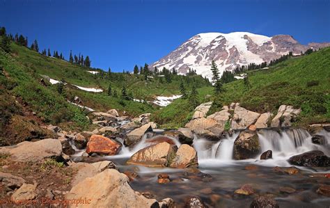 Mount Rainier And Mountain Stream Photo Wp35800