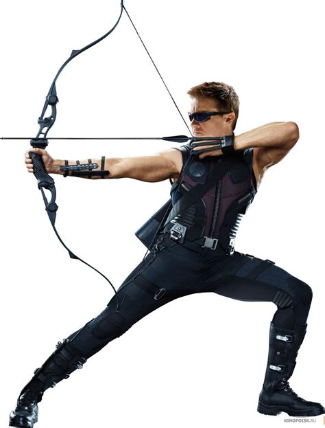 Охотничьи рекурсивные классические Луки HOYT: HOYT BUFFALO, HOYT GAME ...