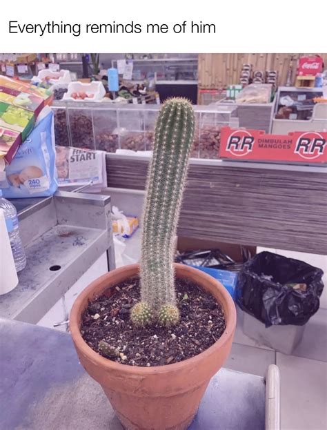 I Miss Him Nudes GayNSFWFunny NUDE PICS ORG