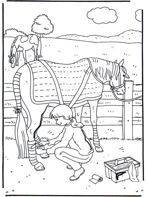 Coloriage Cheval pour fille et dessin gratuit à imprimer Dessine les