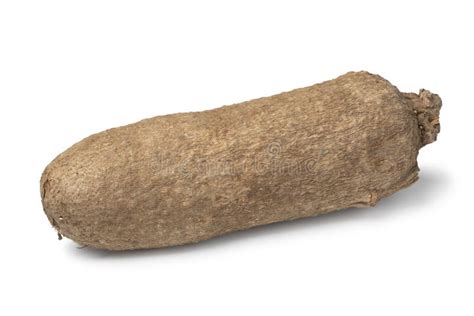 Single Whole Raw African Yam On White Background Stock Photo Image Of