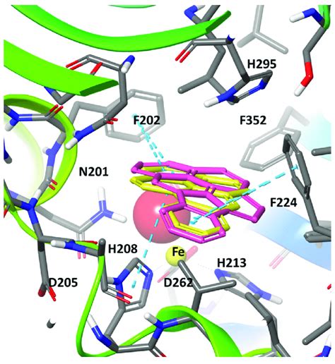 Molecular Docking Of Benzo A Pyrene Yellow And Indeno 1 2 3 Cd Pyrene